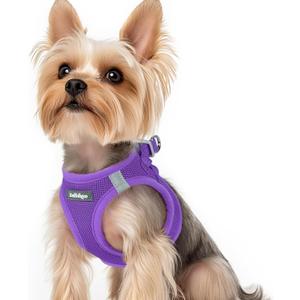 rabbitgoo Small Dog Harness, Step-in Soft Mesh Puppy Vest with Safety Buckle, Breathable Reflective Pet Harness for Small Sized Dogs, Purple XS(Chest:13.3"-15.5")