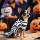 Dog Halloween Costume Sandworm Costume for Dogs Pet Halloween Snake Cosplay Black White Stripes Dog Funny Costumes for Party Medium Large Small Dogs(Medium)