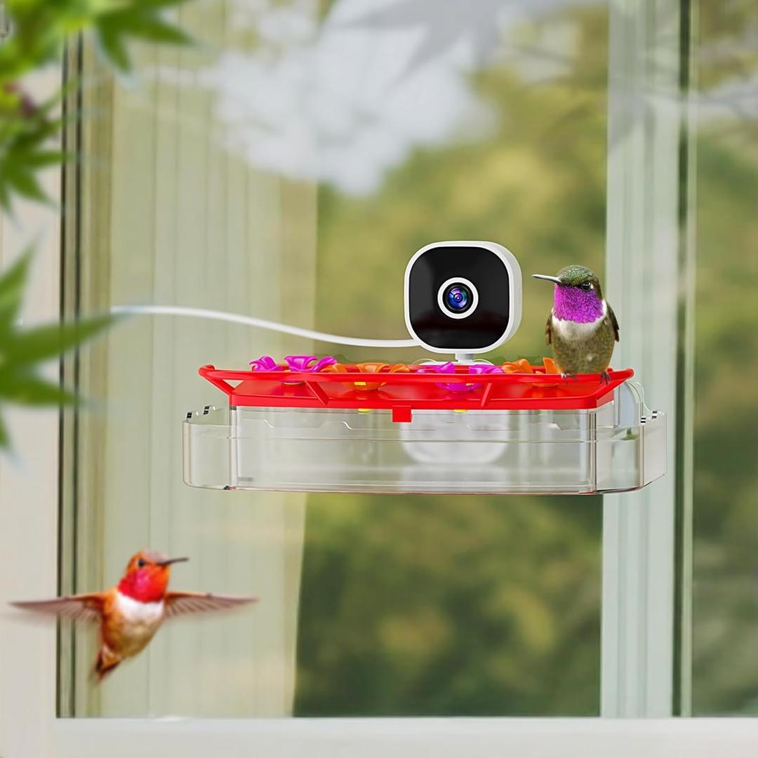 Smart Window Hummingbird Feeder with Camera & AI, 2K HD Live View, Ant Moat & Secure Suction Mount - The Ultimate Gift for Humming Bird Lovers (Transparent)