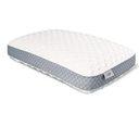 SEALY Essentials Pillow, Standard, White 2 Count & Molded Bed Pillow for Pressure Relief, size 18×28×2 inch, White Grey