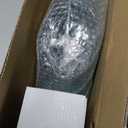 WDF 25 Guest Green Plastic Plates with Disposable Silverware&Green Cups-Neon Clear Plastic Dinnerware include 25 Dinner & Salad Plates,25 Forks, 25 Knives, 25 Spoons,25 Cups for Party