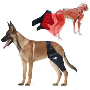 Dog Acl Brace Hind Leg — Red Light Therapy for Dogs Professional Edition Dog Knee Brace for Torn Acl Hind Leg Accelerated Wound Healing Suitable for Mini Dogs(31-76lbs) Black (L)