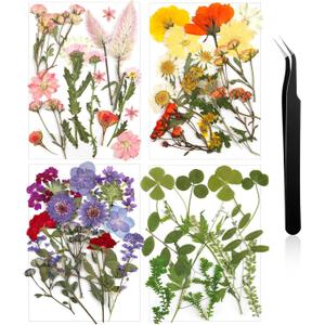 Nuanchu Pressed Flowers Bulk Dried Flower for Crafts Resin Real Dried Wildflowers Leave Natural with Tweezer for Christmas Craft Supplies Resin Mold Scrapbooking Nail Soap Candle Cake Card Making DIY (Mild Color)