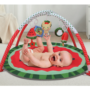 Tummy Time Mat, 9-in-1  Baby Play Gym Mat, Oversize Baby Play Activity Mat with Sunshade & 6 Detachable Sensory Toys, Washable Non-Slip Mat for Newborn Infant Baby Essentials Gift Tummy Time Mat, 9-in-1  Baby Play Gym Mat, Oversize Baby Play Activity Mat with Sunshade & 6 Detachable Sensory Toys, Washable Non-Slip Mat for Newborn Infant Baby Essentials Gift