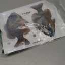 Bluegill fish panfish vinyl decal set of 2 R-L facing 5.5" x 9" freshwater fishing sun fish car truck sticker for window glass