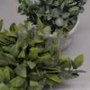 Winlyn Set of 2 Faux Mini Potted Plants Artificial Eucalyptus Boxwood Plants in Pots Fake Greenery Arrangement for Rustic Farmhouse Indoor Table Centerpiece Mantel Shelf Kitchen Office Desk Decor