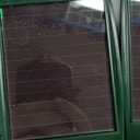 2 Pack Solar Ultrasonic Animal Repeller Outdoor Deer Repellent Devices Waterproof Motion Activated Animal Deterrent Device to Scare Cat Dog Squirrel Rabbit Raccoon Skunk out of Yard Garden Lawn, Green