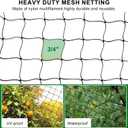 BSTPCOO Bird Netting 50'x100' with 3/4" Mesh Hawk Net for Chicken Run,Poultry Netting Heavy Duty Nylon Aviary Net for Chicken Coop Roof Garden Nettings for Fruit Trees Plant