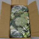 Eucalyptus Garland 6FT Artificial Ivy Greenery Fake Silver Dollar Eucalyptus Leaves Vines Table Decor Green Vine Spring Artificial Vines for Home Mantle Party Decor Indoor/Outdoor (2)