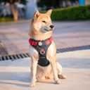 PHOEPET No Pull Dog Harness, Unique Colors Reflective Adjustable Dog Vest, with Soft Training Handle Metal Clips for Dogs (Black Base & Red Straps,M)
