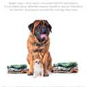 Pet Parents Washable Dog Diapers (3pack) + Extendrs of Durable Doggie Diapers, Premium Dog Diapers Female (Small, Daisy)