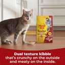 Meow Mix Tender Centers Dry Cat Food with Basted Bites, Beef & Salmon Flavors, 3 Pound Bag (Case of 4) (EXP 09/09/26)