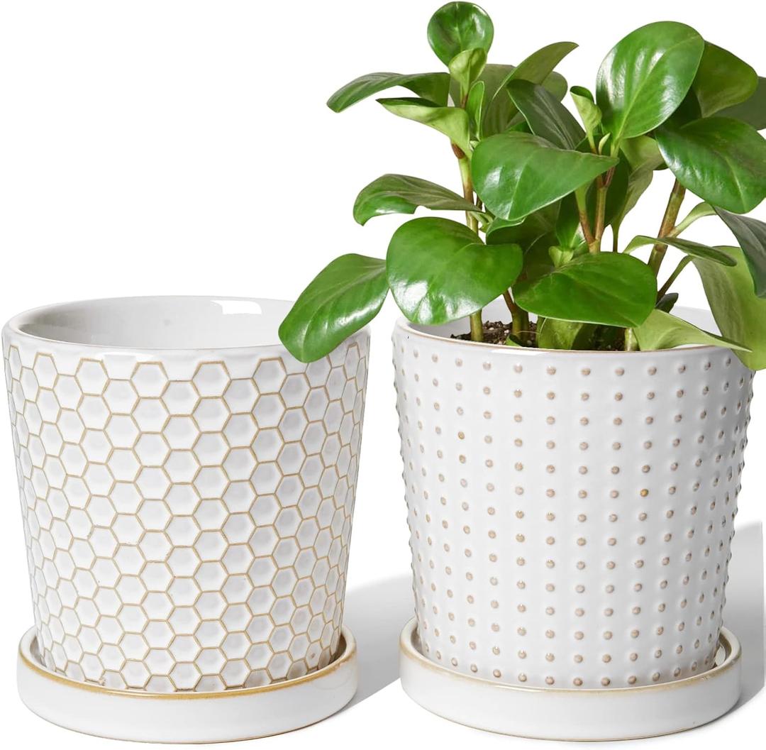 LE TAUCI Ceramic Plant Pots, 5.4 Inch Pots for Indoor Plants, Planters with Drainage Hole and Saucer, Flower Pots for Succulent, Snake Plants and Cactus, Set of 2, Reactive Glaze White (5.4 inch)