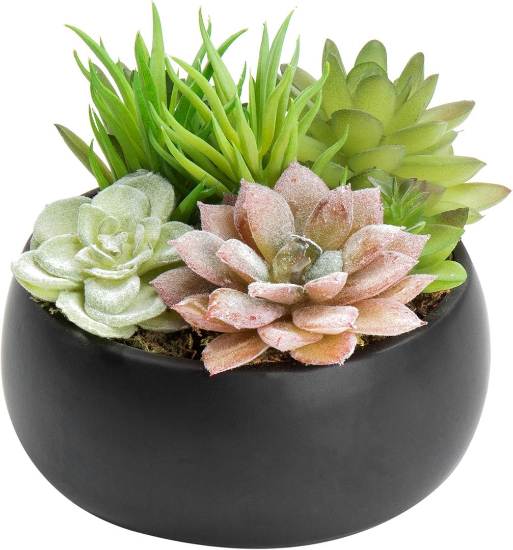 MyGift Mini Artificial Succulent in Pot, Fake Plant Arrangement in Black Ceramic Planter Bowl