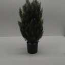 2FT Artificial Topiary Tree Beautiful Realistic Faux Cedar Pines Christmas Trees UV Rated Fake Shrubs for Front Porch Faux Plants Indoor and Outdoor Decor (Pack of 1）