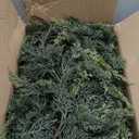 6FT Real Touch Cedar Garland - Artificial Christmas Garland Fake Green Faux Thick and Lush Pine Needles Garlands for Table Fireplace Mantle Holiday Home Indoor Outdoor Decor