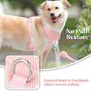 No Pull Dog Harness for Small Medium Large Dogs - Adjustable 2 Layer Mesh Dog Vest with Dual Clip, Escape Proof, Quick Release, Lightweight Breathable Mesh for Walking Hiking (Light Pink,S)