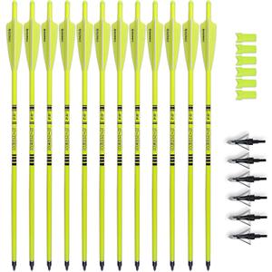 Crossbow Bolts 20inch Fluorescence Color Carbon Crossbow Hunting Arrows with 4" Vanes and Replaced Arrowhead(12 Pack)