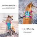 PHOEPET No Pull Dog Harness, Unique Colors Reflective Adjustable Dog Vest, with Soft Training Handle Metal Clips for Small Medium Large Dogs (Mint Green Base & Pink Straps, XS)