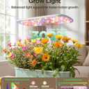 LetPot LPH-Air Hydroponics Growing System Kits, APP & WiFi Controlled Smart Indoor Garden with Adjustable 24W Grow Light Full Spectrum, 10 Pods Planter Indoor Gardening for Gifts, Kitchen, Vegetable