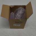 Sawysine 24 Pcs Plastic Clear Serving Bowls with Kitchen Plastic Scoops Salad Serving Bowls Popcorn Scoops Angled Candy Container for Salad Cooking Parties, 210 ml