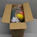 TURFEE Tree Swing for Kids - Single Disc Seat and Climbing Rope Set w/Carabiner & 4 Ft Strap - Treehouse and Outdoor Playground Accessories - Green