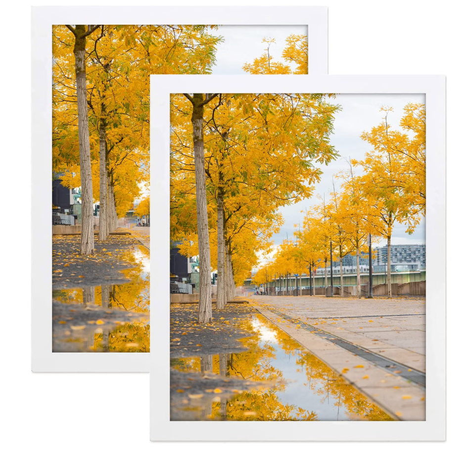 Golden State Art 16x20 White Picture Frame,Solid Wood&Real Glass,Fit 16x20