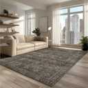 Washable 6x9 Area Rug for Living Room, Carpet for Bedroom Dining Room, Non Slip& Non-Shedding Resistant Low Pile Vintage Print Rug for Home Office (Brown)