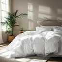 Serta Goose Feather Down Fiber Comforter Queen Size - 100% Cotton Cover Duvet Insert - Hotel Luxury Hypoallergenic Bedding Comforter All Season Medium Warmth 90 x 90 Inch White
