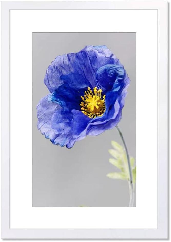 VNVNK 16x24 Frame White, Perfect for 16x24 Inch Picture without Mat or 14x20 Inch Picture with Mat, Home Wall Decor Picture Frame-1 PCS