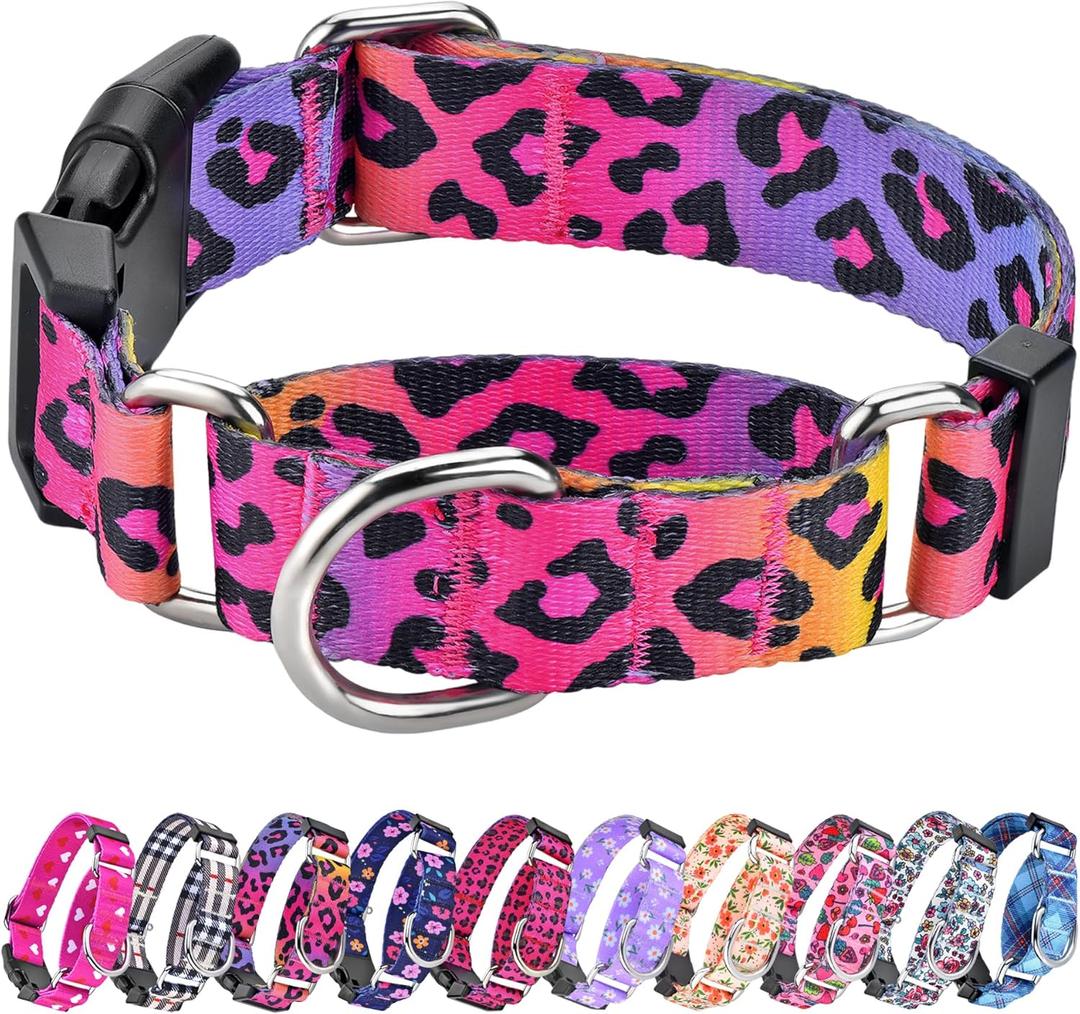 Martingale Collar for Dogs, Adjustable Soft Nylon Dog Collars with Special Design Cute Patterns for Small Medium Large Dog (Gradient leopard)