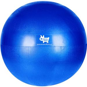 Race&Herd Herding Ball Inner Replacement for Dogs, Medium, 25'' (Blue)