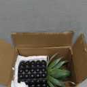 Briful Succulents Plants Artificial for Home Decor, Realistic Potted Fake Agave Plant, Bubbled Plant Pot, Cute Aloe Maguey Faux Plant, Shelf Tables Decor, Modern Farmhouse Home Decorations