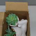 Der Rose 2 Pack Fake Plants Succulents Plants Artificial for Living Room Home Bathroom Office Decor (White)