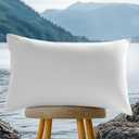 Canadian Luxury Goose Down Pillows 80% Down 20% Feather 1050 Fill Power with 100% Cotton Pillowcase Fluffy Bed Pillows for Sleeping (King, Pack of 1)