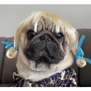 2 x Funny Dog Cat Cosplay Wig, Pet Wigs for Halloween, Christmas, Parties, Festivals, Dog Wigs for Small Medium and Large Dogs(Golden Braid)