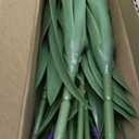 Artificial Flowers Plants for Outdoor Planters 8 Bundles Purple Flower Large Spring Summer 18.9 in Look Real Plasic Plant for Front Porch