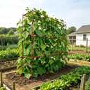 2 Pack Cucumber Trellis, Trellis for Climbing Plants Outdoor, 58" L x 14" W x 47" H Heavy Duty Metal Garden Plant Support for Raised Beds, Peas, Okra, Vines & Flowers