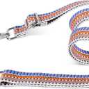 chushui 1 inch Purse Strap,Replacement Crossbody Strap Adjustable Shoulder Strap for Handbag Bag (Silver Hardware 13)
