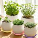 Zubebe 12 Pcs 4 Inch Round Plant Saucer Tray Multicolor Plastic Water Tray Heavy Duty Flower Pot Saucers Sun Resistant Plant Trays for Indoor and Outdoor Decor
