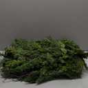 Alupssuc 9FT Christmas Garland, Cedar Garland -Real Touch Artificial Greenery Cypress Pine Garland for Mantle Table Railing Fireplace Indoor & Outdoor Christmas Decoration