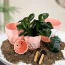 Plastic Flower Pots, 8.3/7.1/5.9/4.3 inch Nursery Plant Pot with Drainage Holes and Hole Mesh Pad and Saucers Tray for Indoor Garden Plants, Succulent, Orchid and Cactus,Pink, White