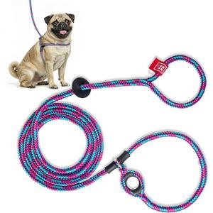 Harness Lead No Pull Dog Harness and Leash Set, Anti Pull Dog Harness, One-Piece Cushioned Rope Safely Prevents Escaping and Pulling (Small/Medium, Reef) (Reef (Purple/Raspberry/Turquoise))