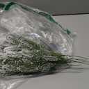 20PCS Frosted Artificial Pine Needles Branches 10.6 Inches Christmas Fake Snowy Pine Picks Twigs Winter Sprays Greenery Stems for Christmas Tree DIY Garlands Wreaths Crafts Home Holiday Decorations (White)