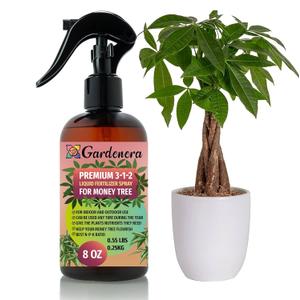 Professional Money Tree Spray Fertilizer Mist for Home Gardening | 3-1-2 Gentle Blend Mist for Healthy Leaves & Growth | Essential Nutrients for Money Tree - 8oz