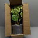 Hollyone Green Hydrangea Artificial Flowers in Pots 19.7" Four-Head Faux Silk Hydranges Flower Arrangements for Indoor Home Office Kitchen Table Centerpieces Wedding Decorations