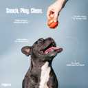 Treat Ball Small Dogs 2 Pack Puzzle Toy BPA Free | treat dispensing toy, mental stimulation, enrichment toy, anxiety relief, French Bulldog, Chihuahua, Dachshund, BPA free