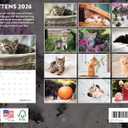 5 x Kitten Calendar 2026 Cat Kitty Gifts Monthly Wall Calender 12 Month | American Made In The USA