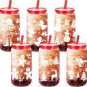 6 Pcs Christmas Gift Cups Reusable 16 oz Acrylic with Lids and Straws Plastic Drinking Tumblers Snowman Santa Claus Gingerbread Ice Coffee Mason Jars for Xmas Party Decor Supplies