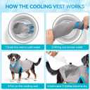 2 x ALL FOR PAWS Cooling Vest Dog Cooling Shirts Breathable Instant Cooling Dogs Vest Lightweight for Summer Dog Clothes (S)